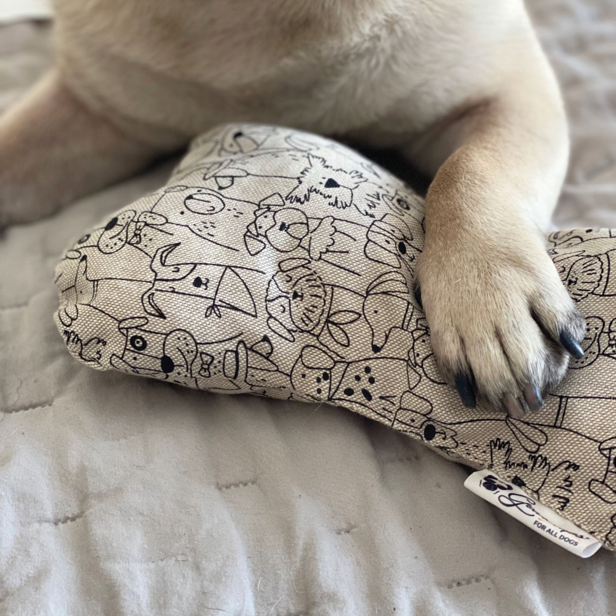 Eine Hundepfote liegt auf dem Zirbenkissen