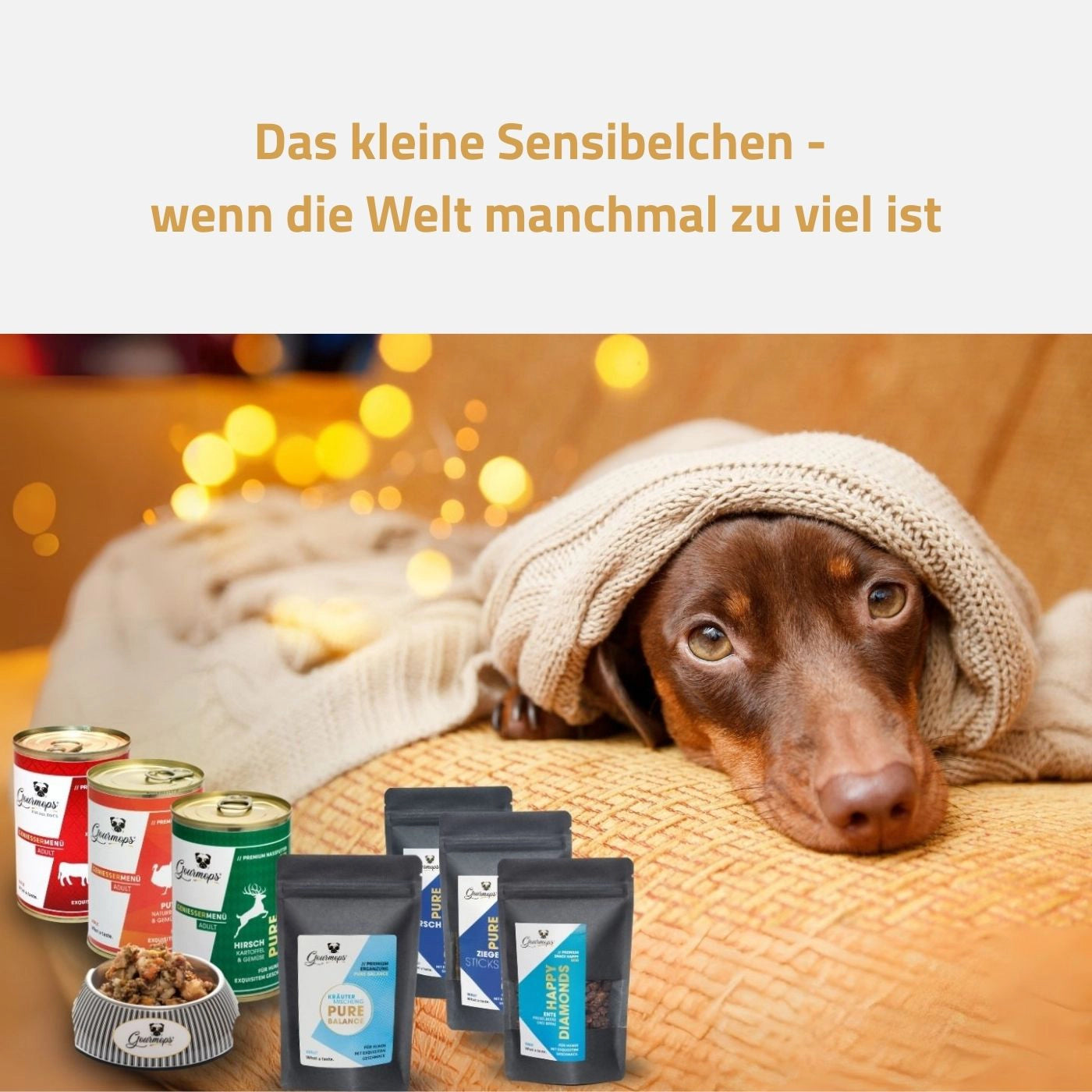 Gourmops Care-Paket – schüchtern blickender Hund unter einer Decke mit ausgewählten Premium-Produkten zur Unterstützung von Wohlbefinden und sensiblen Hunden
