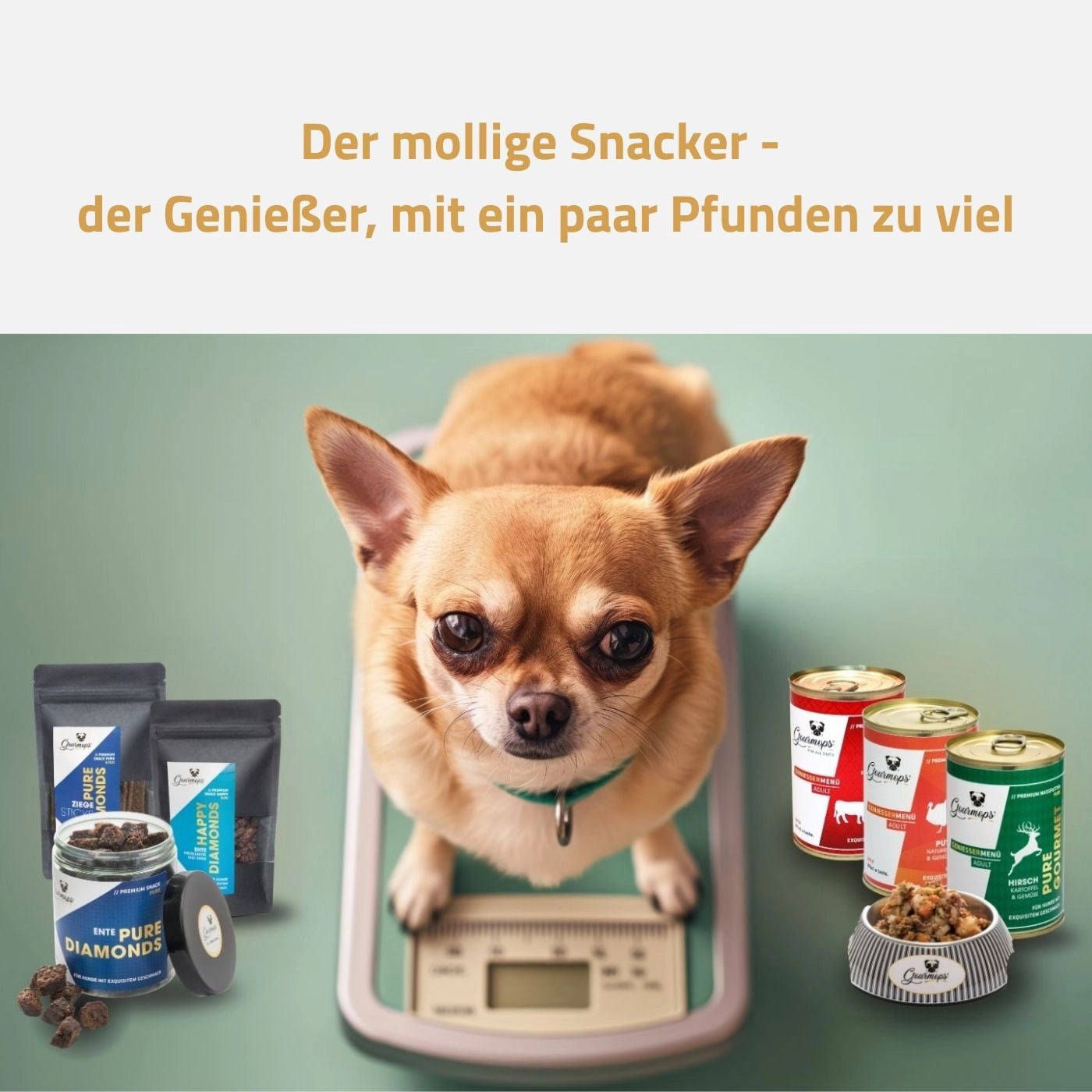 Fit-Paket von Gourmops – Hund auf der Waage mit enthaltenen Premium-Produkten für gesunde Ernährung und Gewichtsmanagement