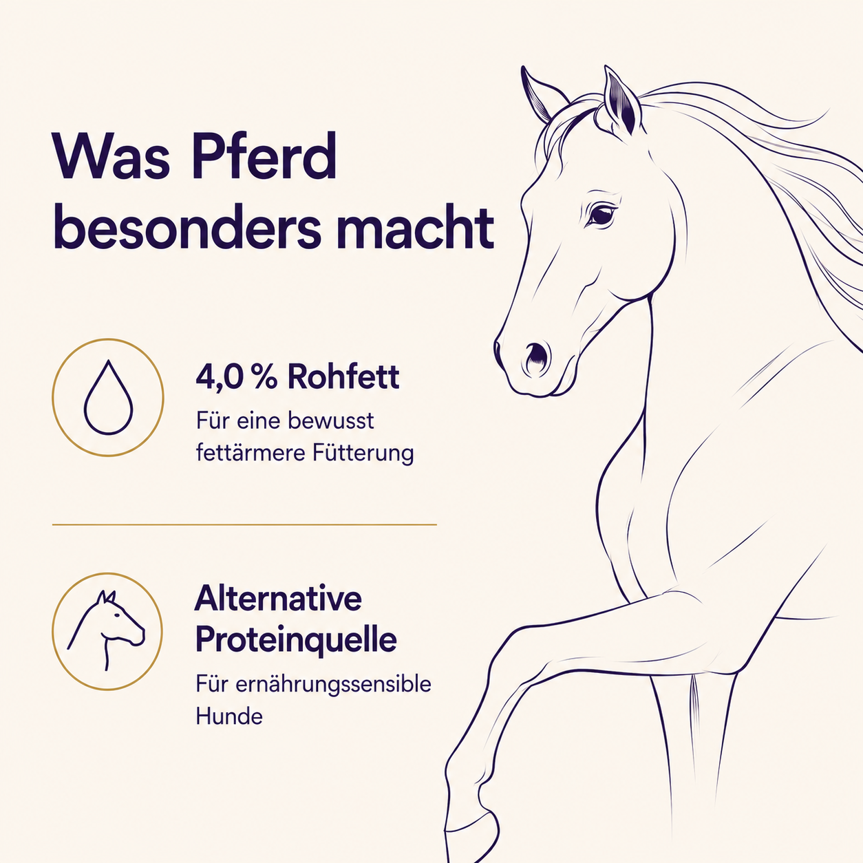 PURE GOURMET // Pferd mit Kartoffel &amp; Gemüse, 400g