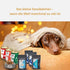 Gourmops Care-Paket – schüchtern blickender Hund unter einer Decke mit ausgewählten Premium-Produkten zur Unterstützung von Wohlbefinden und sensiblen Hunden