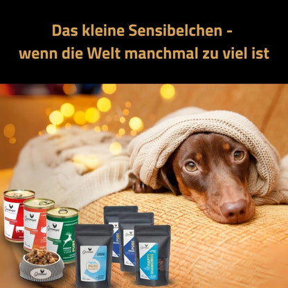 Gourmops Care &amp; Calm Paket – Premium Hundefutter für sensible Hunde. Schüchterner Dackel mit Gourmops Nassfutter und Snacks.