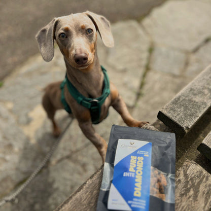 GOURMOPS Schnupperpaket "All Stars" – Premium-Nassfutter &amp; Snacks zum Vorteilspreis