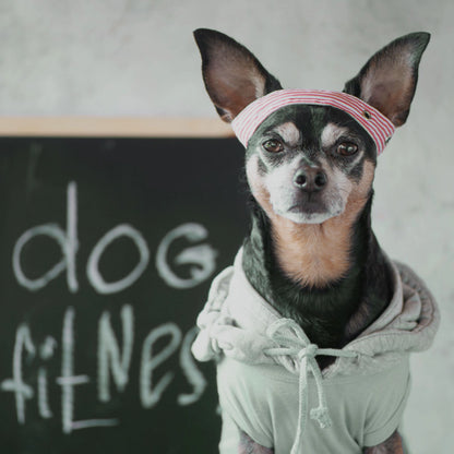 GOURMOPS Fit &amp; Balance PLUS // Vorratsbox für mehr Leichtigkeit