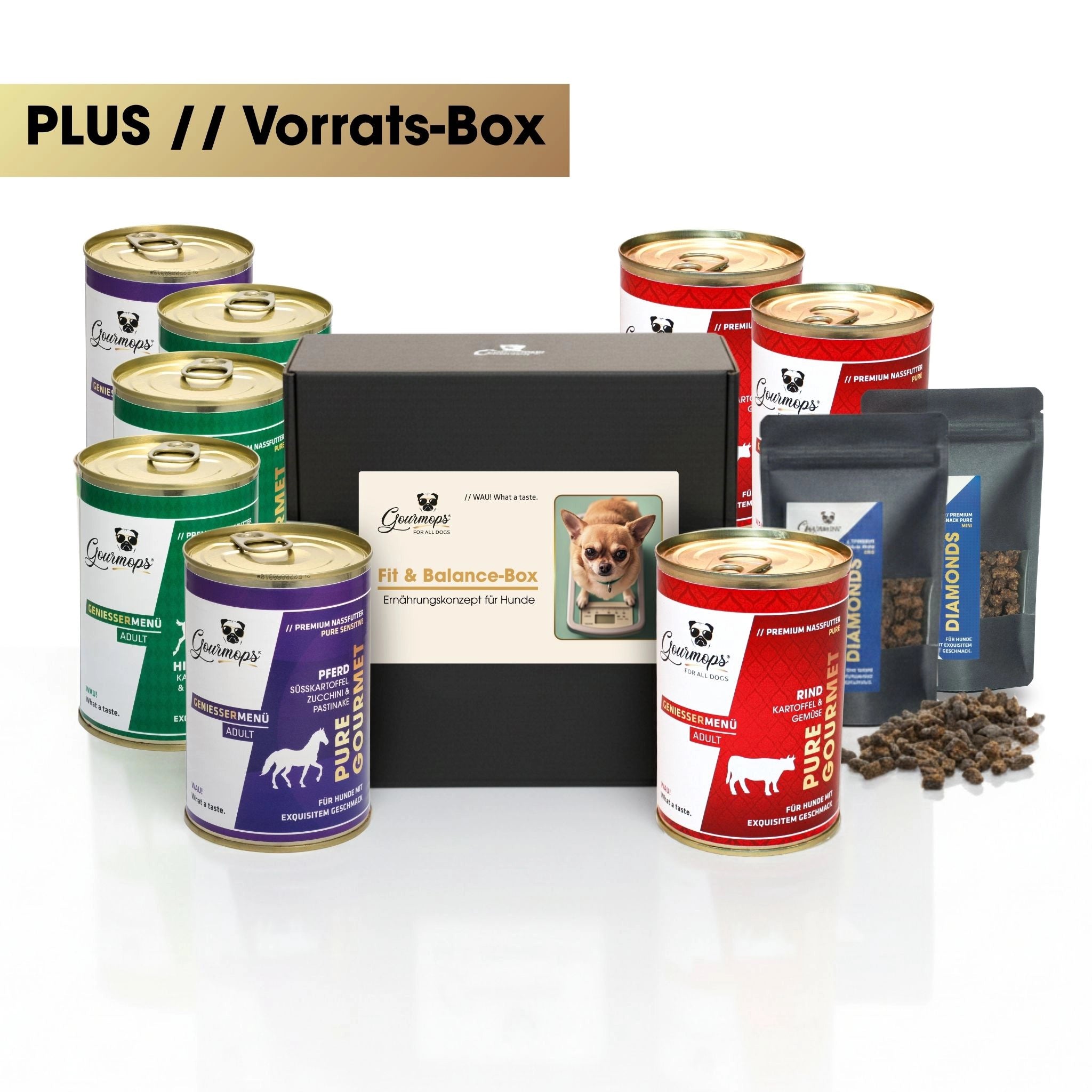 GOURMOPS Fit &amp; Balance PLUS // Vorratsbox für mehr Leichtigkeit