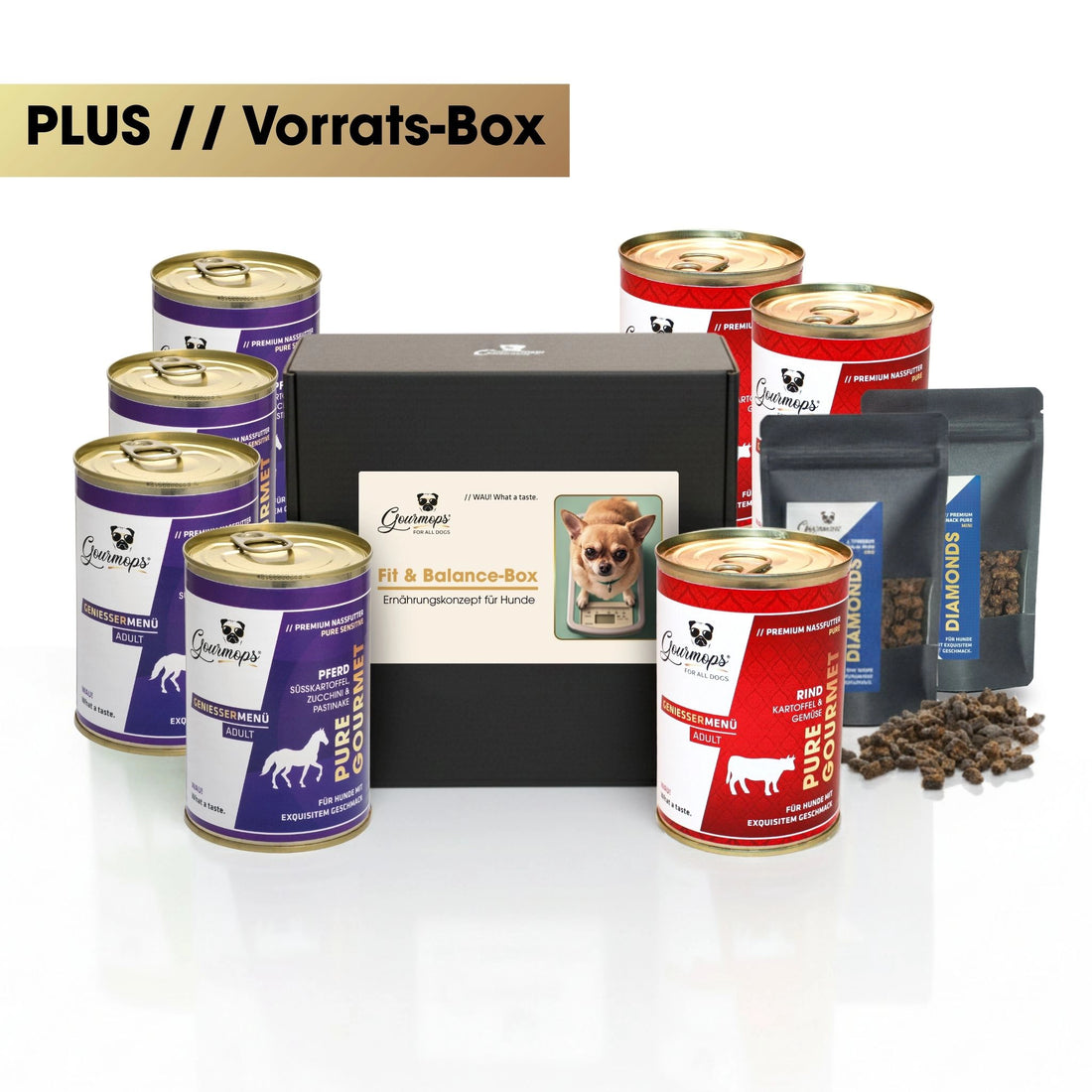 GOURMOPS Fit &amp; Balance PLUS // Vorratsbox für mehr Leichtigkeit