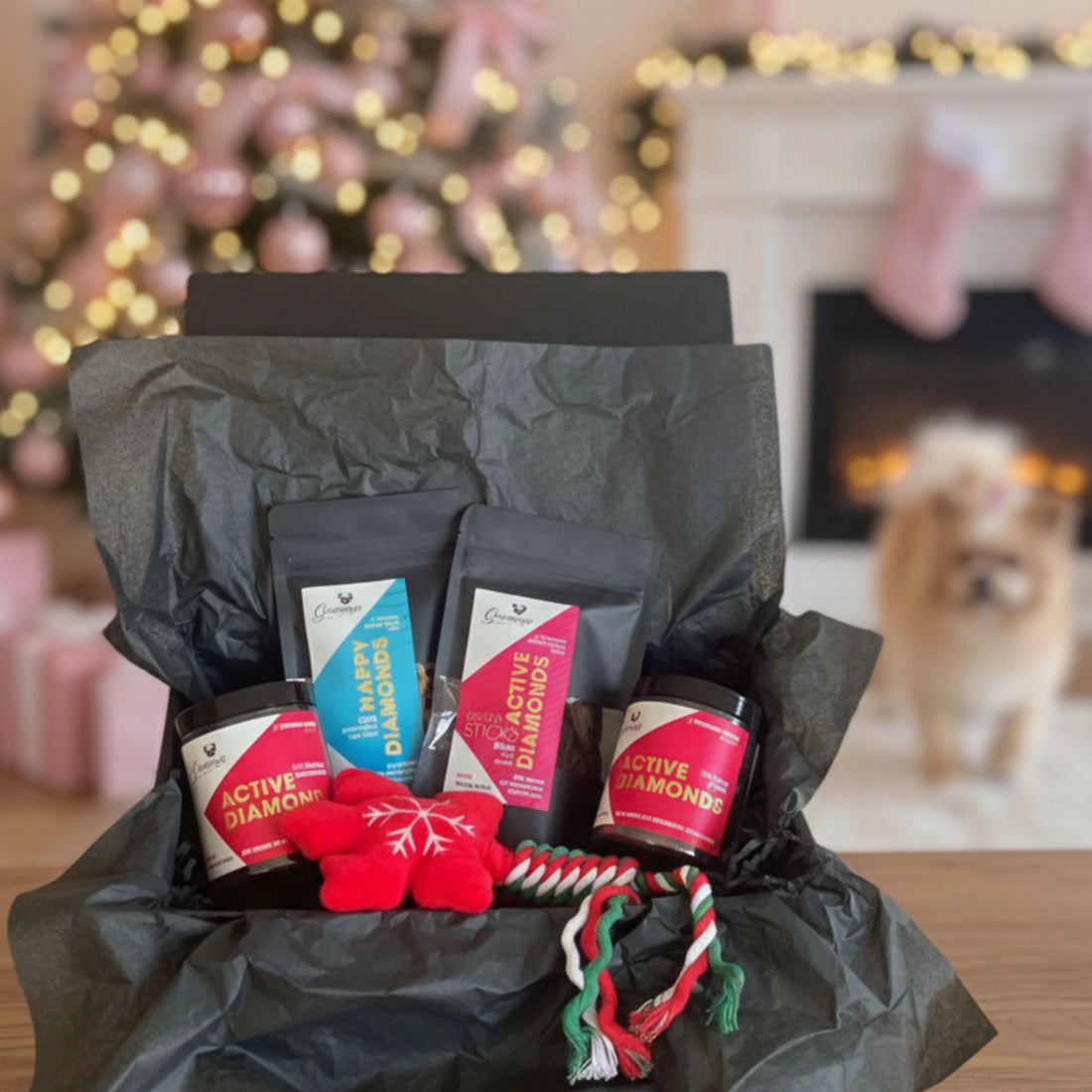 Geschenkset &quot;CHRISTMAS BEAUTY&quot; // Beauty-Set für Fellglanz &amp; Wohlbefinden