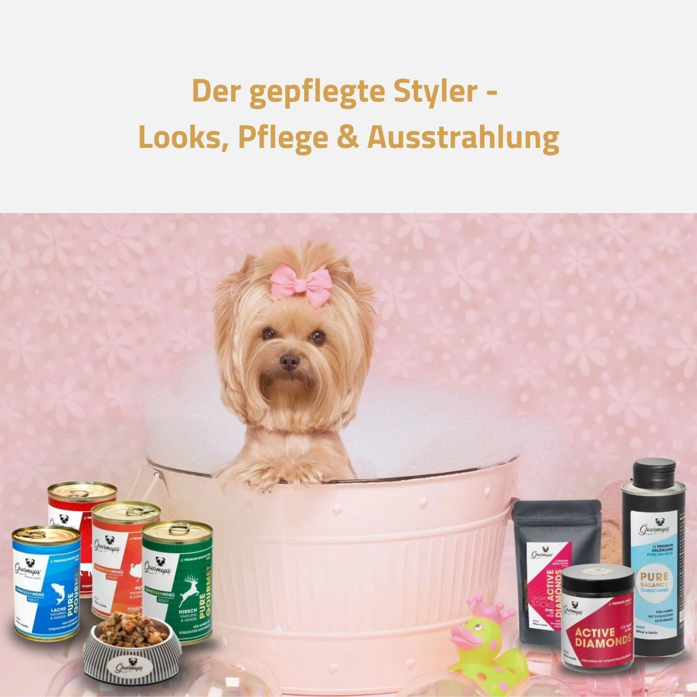 Gourmops Glow-Paket – Hund beim Baden mit ausgewählten Premium-Produkten für glänzendes Fell, gesunde Haut und Wohlbefinden