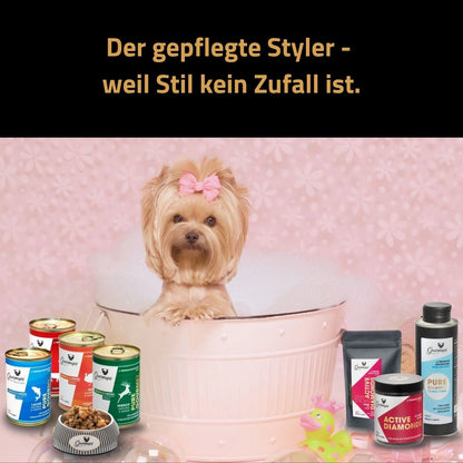 Gourmops Glow-Paket – Premium Hundefutter für gepflegte Hunde. Yorkshite Terrier in der Badewanne mit Gourmops Nassfutter und Snacks.