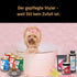 Gourmops Glow-Paket – Premium Hundefutter für gepflegte Hunde. Yorkshite Terrier in der Badewanne mit Gourmops Nassfutter und Snacks.