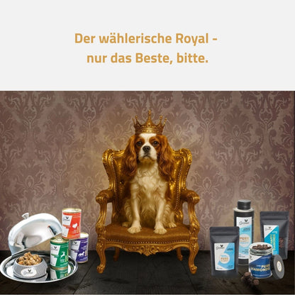 Gourmops Gourmet-Paket – Hund mit Krone auf einem Thron neben ausgewählten Premium-Produkten für Feinschmecker-Hunde