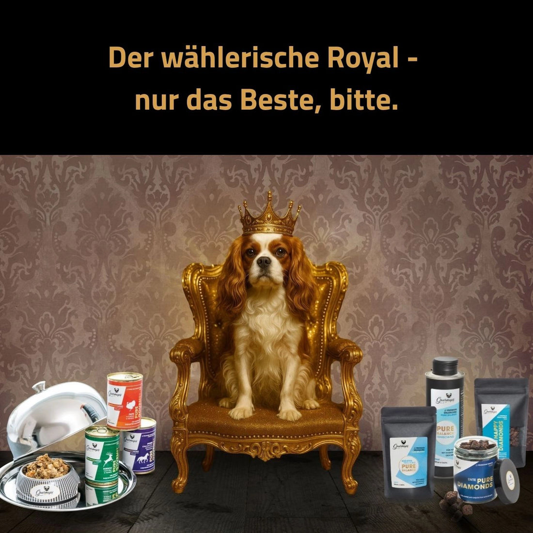 Gourmops Gourmet-Paket – Premium Hundefutter für wählerische Hunde. King Charles Spaniel auf Thron mit Gourmops Nassfutter und Snacks.