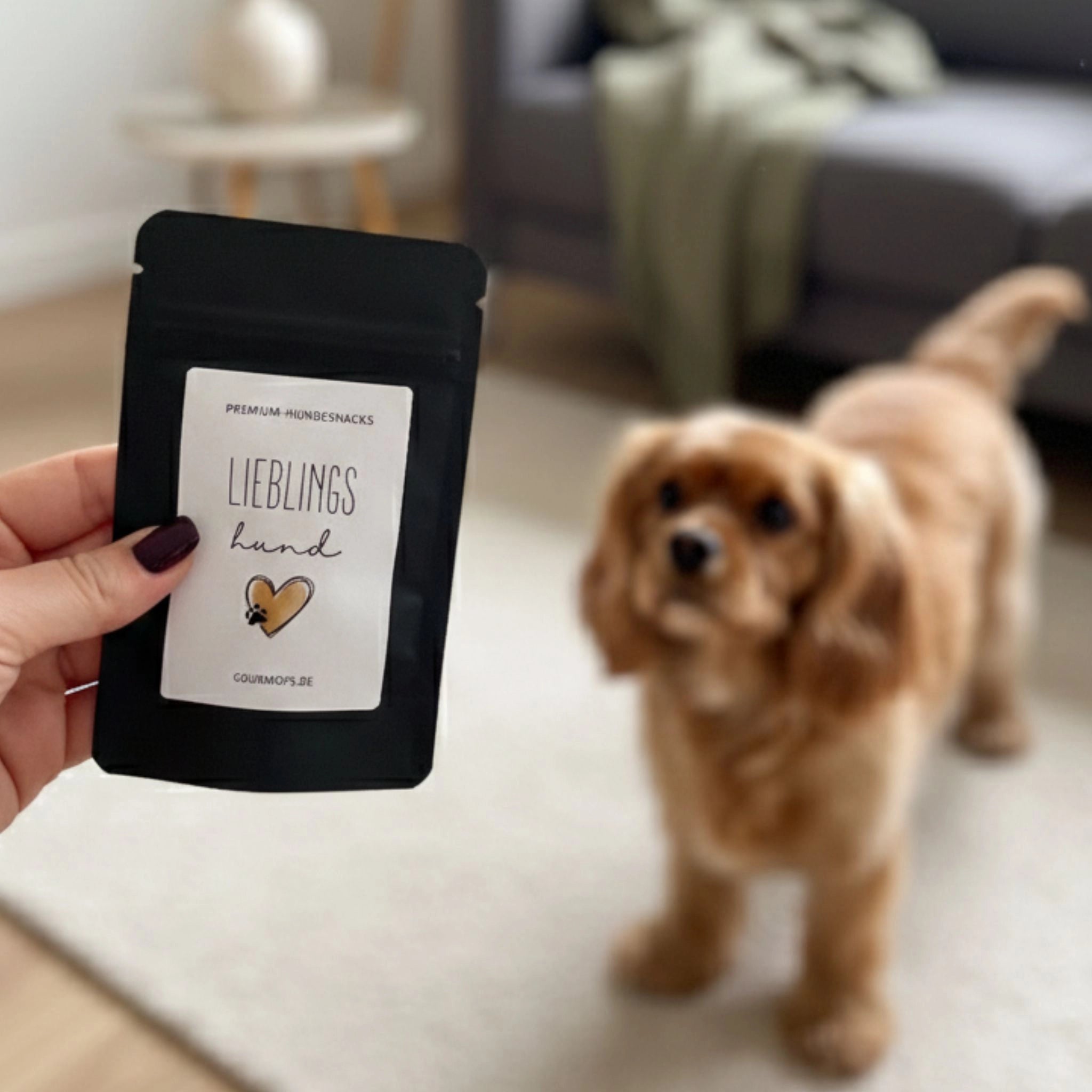 Kleine Grüße "Lieblingshund" // Mini-Snacks Rind