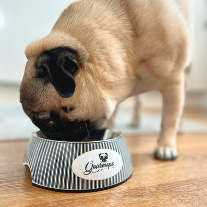 Don Hugo genießt Gourmops Premium Nassfutter aus seinem Napf – hochwertiges, natürliches Hundefutter ohne Zusätze für gesunde und glückliche Hunde.