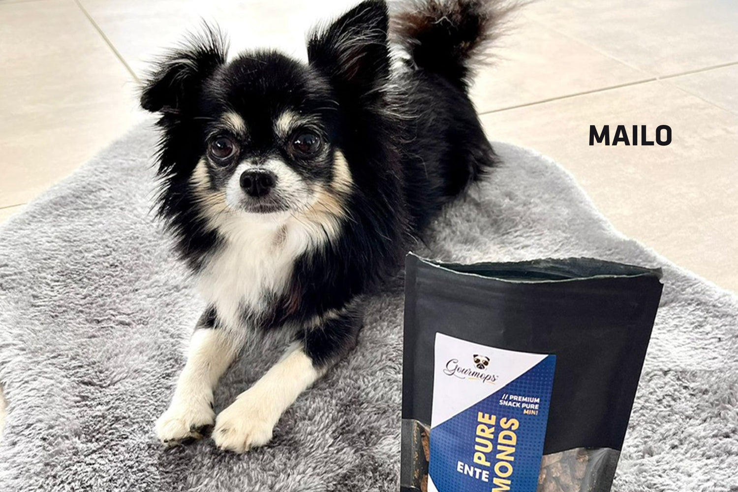 Erfahrungsbericht mit Hund Mailo – Gourmops überzeugt mit Geschmack und Verträglichkeit